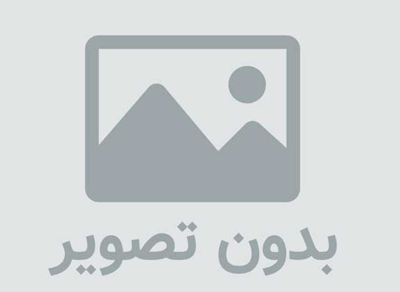 پربیننده تــرین عکس سال / دعوای گرسنه ها سـر غذا